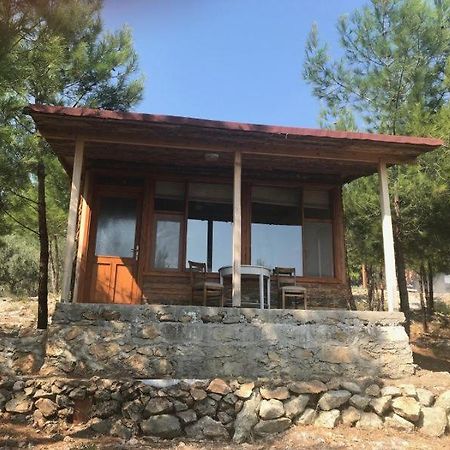 Ida Bay Bungalows Едреміт Екстер'єр фото