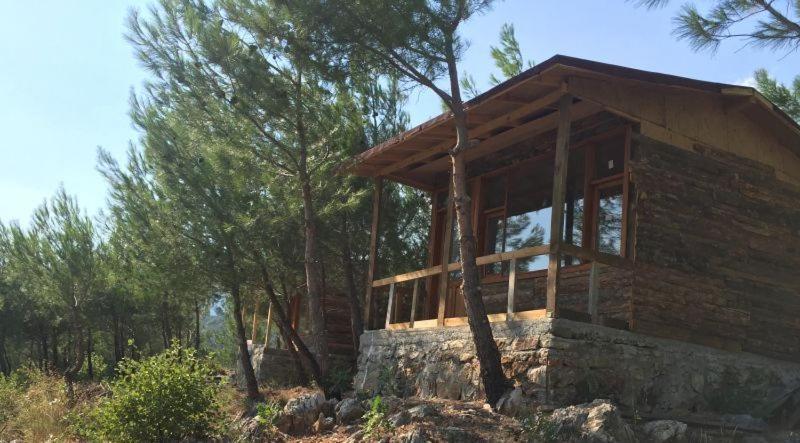 Ida Bay Bungalows Едреміт Екстер'єр фото