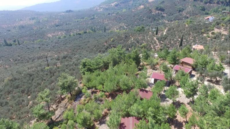 Ida Bay Bungalows Едреміт Екстер'єр фото