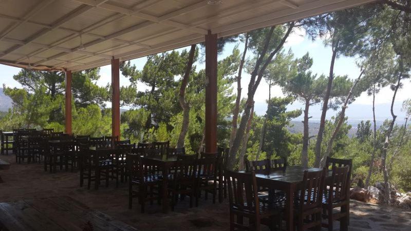 Ida Bay Bungalows Едреміт Екстер'єр фото